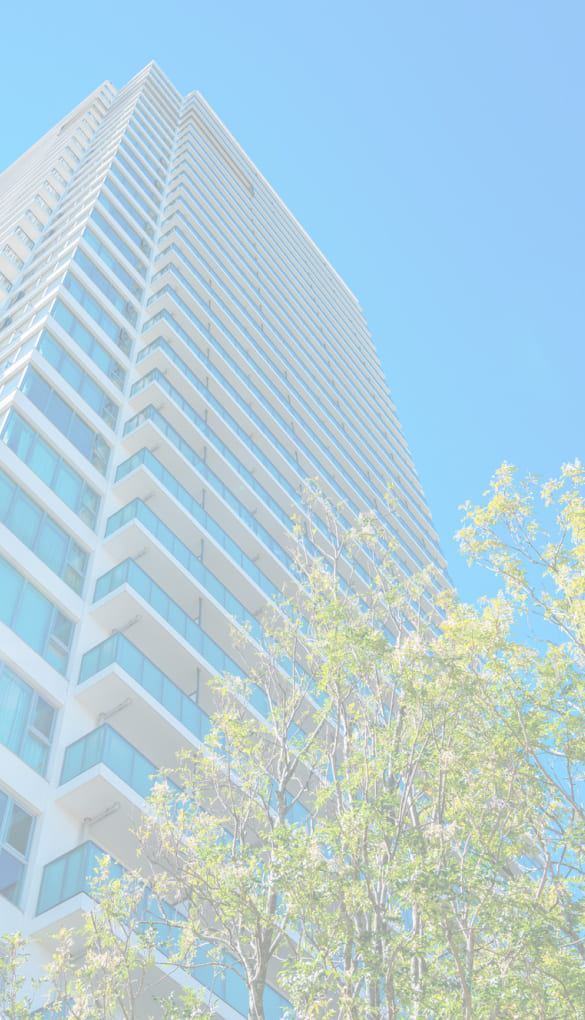 ファーストビュー背景画像